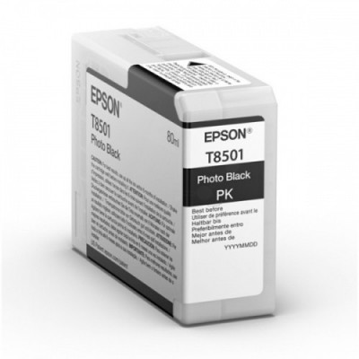 Epson Ink Photo Must UltraChrome HD (C13T850100)