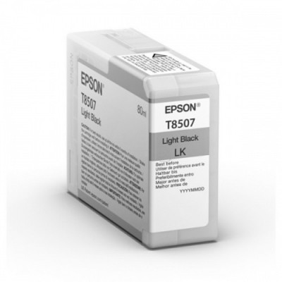 Epson Ink Light Must UltraChrome HD (C13T850700)